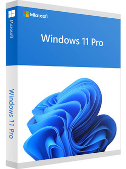 Microsoft Windows 11 Professional 32/64-bit