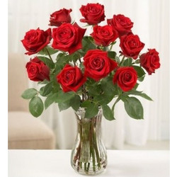 Κλασικό Μπουκέτο με Κόκκινα Τριαντάφυλλα