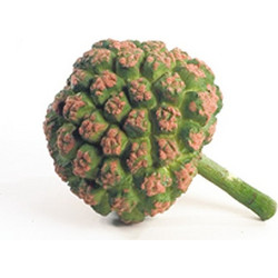 Διακοσμητικό Τροπικό Φρούτο Bread Fruit (Αρτοκαρπός) Zaros Lx189