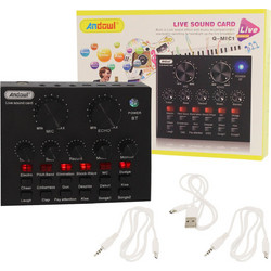 Andowl Q-MIC1