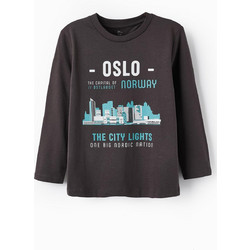 Zippy Παιδικό T-Shirt Μακρυμάνικο Ανθρακί 31056589010