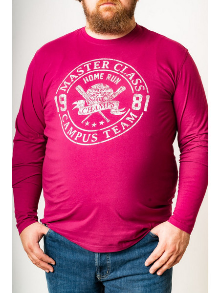 T-SHIRT M/M REDFIELD ΣΤΑΜΠΩΤΟ. - ΒΙΟΛΕΤΙ