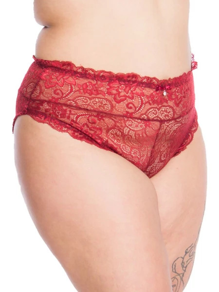 Cortland Intimates High Waist Control Lace Brief 4230