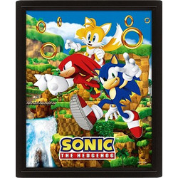 Pyramid Αφίσα SONIC - Catching Rings - 3D Lenticular Poster 26x20cm (EPPL71538)
