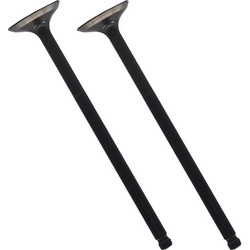Βαλβίδες ζεύγος εισαγωγής 2mm Racing Yamaha Nmax 155 Tobaki