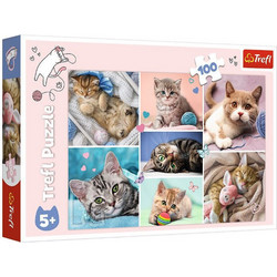 Παιδικό Puzzle Trefl The Cats World 100 Κομμάτια