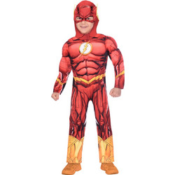 Παιδική Αποκριάτικη Στολή The Flash 9906
