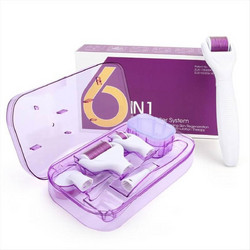 6 in 1 Σετ Derma Roller με Ακίδες Τιτανίου