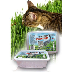Φαγητό Certech 10319