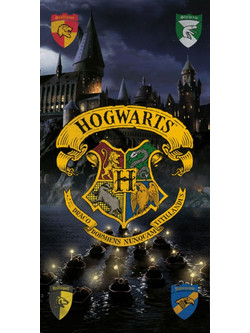 Borea Harry Potter Πετσέτα Θαλάσσης Πολύχρωμη 70x140cm 008373