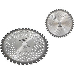 ΔΙΣΚΟΣ ΜΕΤΑΛΛΙΚΟΣ INOX ΠΡΙΟΝΩΤΟΣ 40 ΔΟΝΤΙΑ D=255mm UNIVERSAL ΘΑΜΝΟΚΟΠΤΙΚΟΥ AgroPartsDirect AGROEQUIP