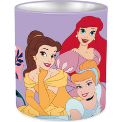 Μολυβοθήκη Princess 000564337