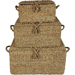ALMAR ΚΟΥΤΙ ΑΠΟΘΗΚΕΥΣΗΣ SET 3ΤΜΧ 50x34x25cm SEAGRASS ΦΥΣΙΚΟ ΣΙΔΕΡΟ 1τμχ
