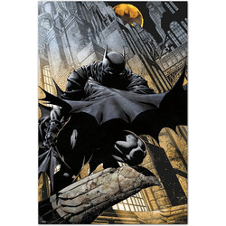 DC Comics Batman Gargoyle poster
