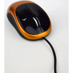 Ezra AM04 Black / Orange