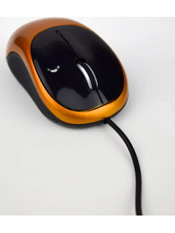 Ezra AM04 Black / Orange