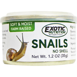 Canned Snails 35g