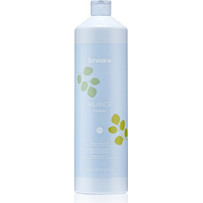 Echosline Balance Σαμπουάν Κατά της Πιτυρίδας 1000ml