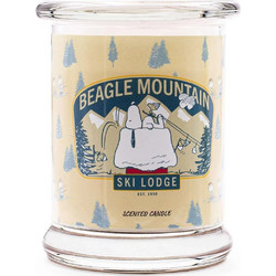 Peanuts Snoopy and Woodstock Αρωματικό Κερί Beagle Mountain σε Βάζο 250gr A1838