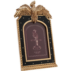 Harry Potter Fawkes photo frame