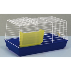 Domus Molinari Cavia 1 Economy Bianca Κλουβί για Κουνέλια Μπλε 58x32x30cm