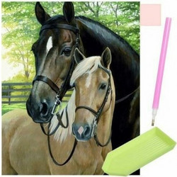 Malatec Horses Καμβάς Diamond Painting Kit 40x30cm 19185