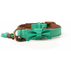 Dwam Boomer Δερμάτινο Κολάρο Σκύλου Πράσινο 2.5x28-34cm