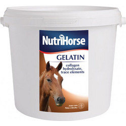 Nutrihorse Gelatin Συμπληρώματα Διατροφής Αλόγου 292-0115