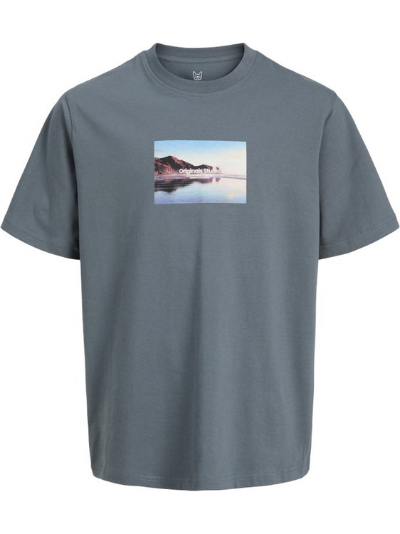 Jack & Jones Παιδικό T-Shirt Κοντομάνικο Ανθρακί 12253960