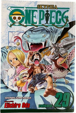 One Piece, Vol. 29