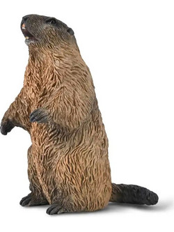 Collecta Μαρμότα 80044