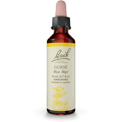 Power Health Bach Gorse Ανθοΐαμα σε Σταγόνες για Αισιοδοξία 20ml