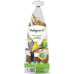 Vadigran French Millet Sprays Yellow Anis 250gr