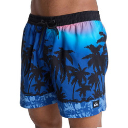 Quiksilver Everyday Volley 15'' Ανδρικό Μαγιό Σορτς Floral Royal Blue EQYJV04219-BYC6