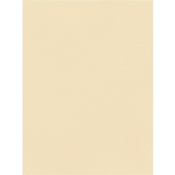 Favini Χαρτόνι Κανσόν Μπεζ 50x70cm 831.5070.04T