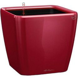 Lechuza Quadro 28 Ls Premium Αυτοποτιζόμενη Γλάστρα Εσωτερικού Χώρου Τετράγωνη Πλαστική Μπορντό 28x28x26cm 16147