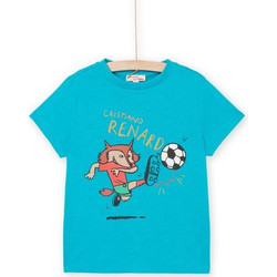 Dpam Wolf Footballer Παιδικό T-Shirt Κοντομάνικο Τιρκουάζ ROJOTI2