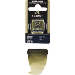Royal Talens Rembrandt 620 Olive Green Νερομπογιά 11-586-620