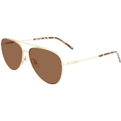 Zeiss ZS22107SP-717 Ανδρικά Γυαλιά Ηλίου Aviator Μεταλλικά Χρυσά με Καφέ Φακό