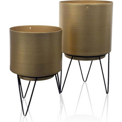 Home Deco Σετ Κασπώ Εσωτερικού Χώρου Μεταλλικά με Βάση Χρυσά 13x22.5cm 2τμχ HD4959