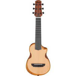 Ibanez AUP10N-OPN Natural