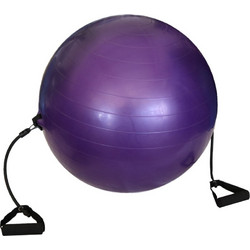Welfit Μπάλα Γυμναστικής με Ιμάντες 60cm W2610