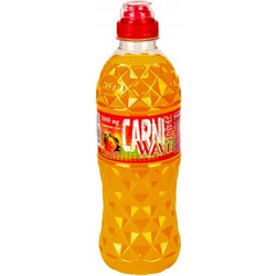 Fit & Shape Carni Wave Orange Συμπλήρωμα Διατροφής με Καρνιτίνη 500ml