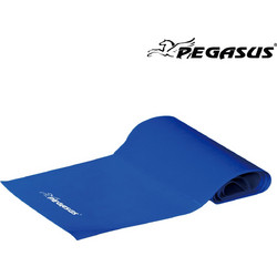 Pegasus Λάστιχο Ενδυνάμωσης Κορδέλα Heavy B6308-H