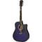 Aria AWN-15 Blue Shade