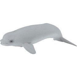 Collecta Μπελούγκα Μωρό 88617