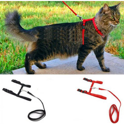 Στηθόλουρο γάτας - Cat leash 110cm