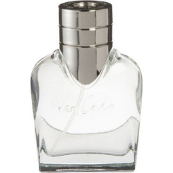 Van Gils Basic Instinct Eau de Toilette 40ml