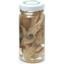 Grauvell Δόλωμα Συντηρημένο Σωλήνα 100ml