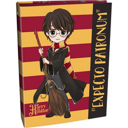 ΚΛΑΣΕΡ ΣΧΟΛΙΚΟ HARRY POTTER - HERMIONE 17x25 2 ΚΡΙΚΩΝ 22409